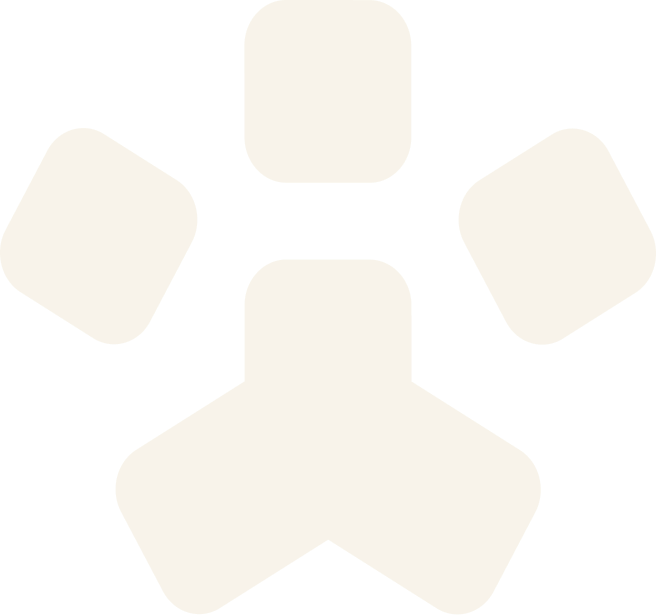 xc-sports宠物，无处不在