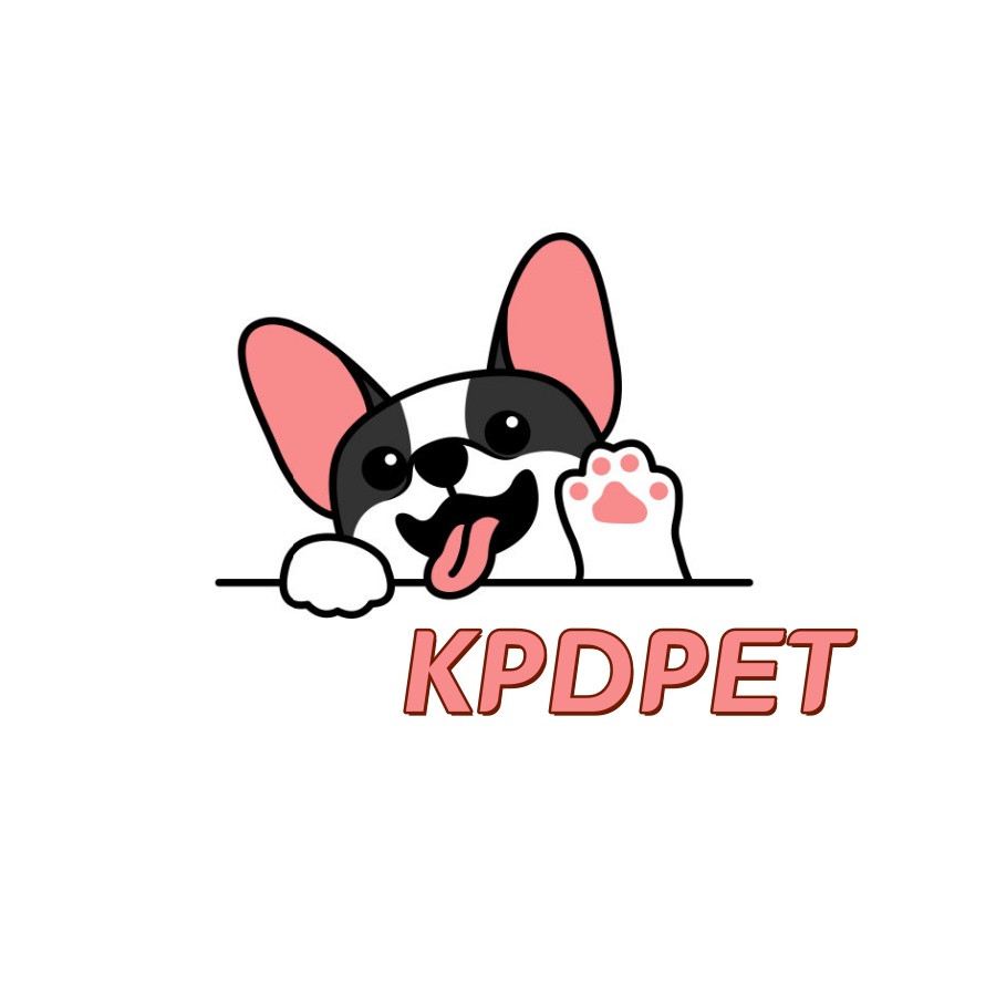 xc-sports宠物，无处不在